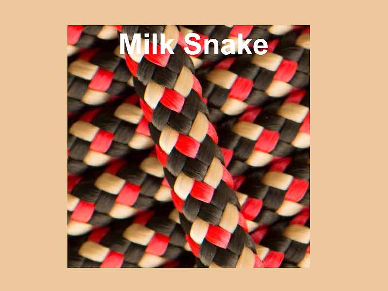 Milk Snake