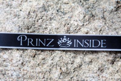 Prinz Inside
