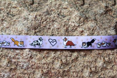 Collie Sheltie Schafe Flied