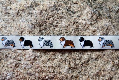 Collie Sheltie Stehend Schm